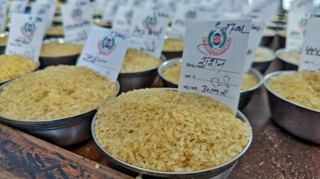 Chuyên gia đánh giá tác động của lệnh cấm xuất khẩu gạo của Ấn Độ 