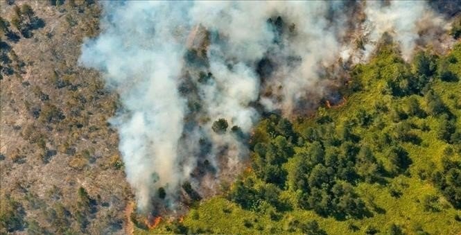 Cuba kiểm soát được đám cháy rừng kéo dài hơn 18 ngày 