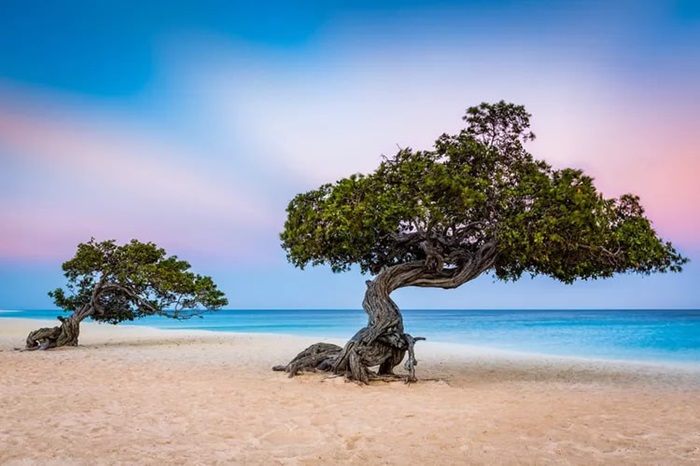 Eagle - Bãi biển vừa được bình chọn đẹp nhất vùng Caribe
