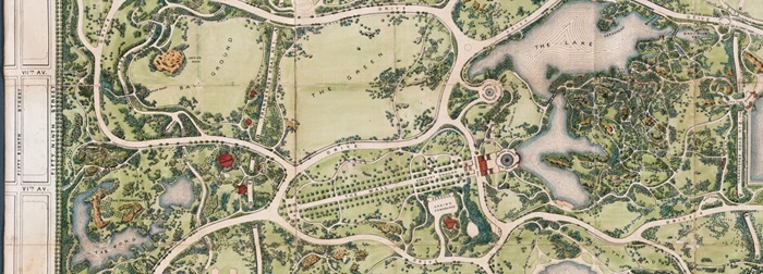 Khám phá Central Park – lá phổi xanh của New York