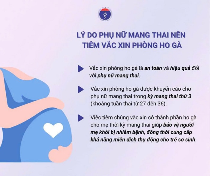 Phụ nữ mang thai được khuyến cáo tiêm vắc xin phòng bệnh ho gà